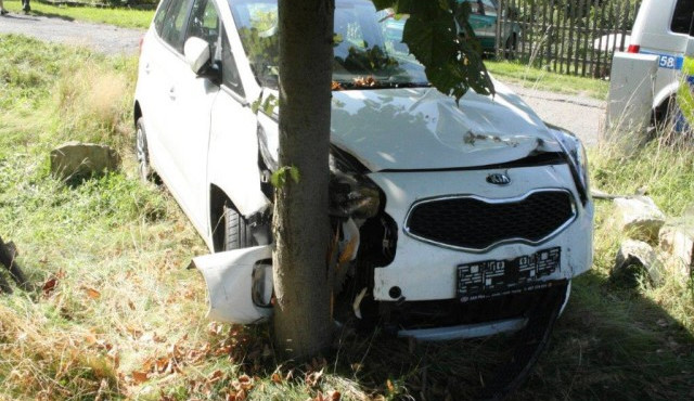 Řidič zapomněl zabrzdit své auto, zastavilo se až o nedaleký strom