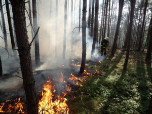 V Českém ráji hořelo půl hektaru lesa. Dnes se oheň znovu rozhořel