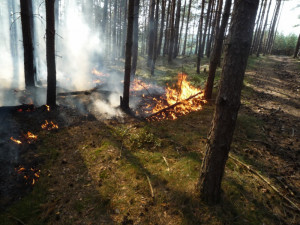 Hořící les v Českém ráji