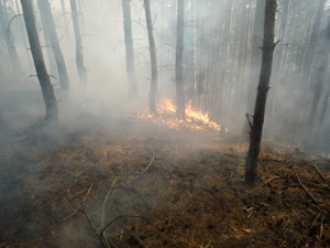 Hořící les v Českém ráji