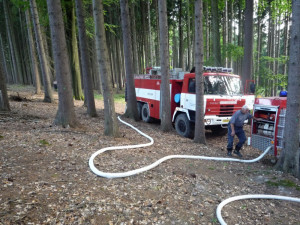 Hořící les v Českém ráji