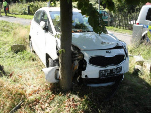 Řidič zapomněl zabrzdit své auto, zastavilo se až o nedaleký strom