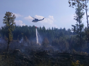 Hasiči likvidují další požár lesa,  pomáhá také vrtulník