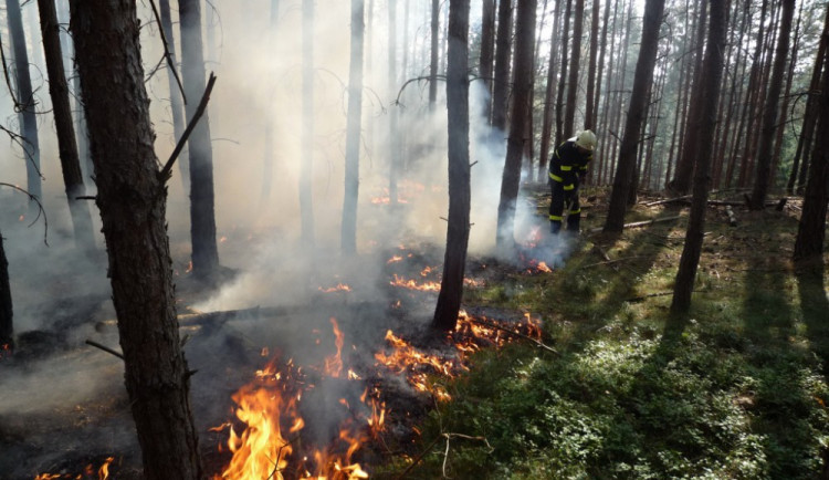 Hořící les v Českém ráji