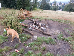 Nepořádek po pouti