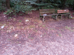 Nepořádek po pouti