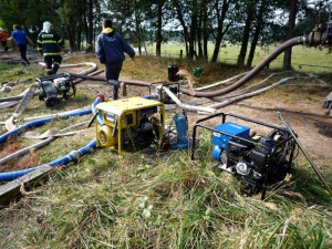 Hasiči zachraňovali koně z hluboké jímky. Vyprostit se ho podařilo až speciální sítí
