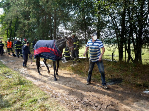 Hasiči zachraňovali koně z hluboké jímky. Vyprostit se ho podařilo až speciální sítí