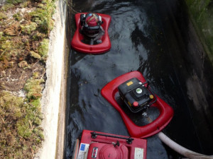 Hasiči zachraňovali koně z hluboké jímky. Vyprostit se ho podařilo až speciální sítí