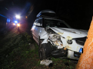 Nehoda v Albrechticích: Řidič nezvládl jízdu a čelně narazil do stromu