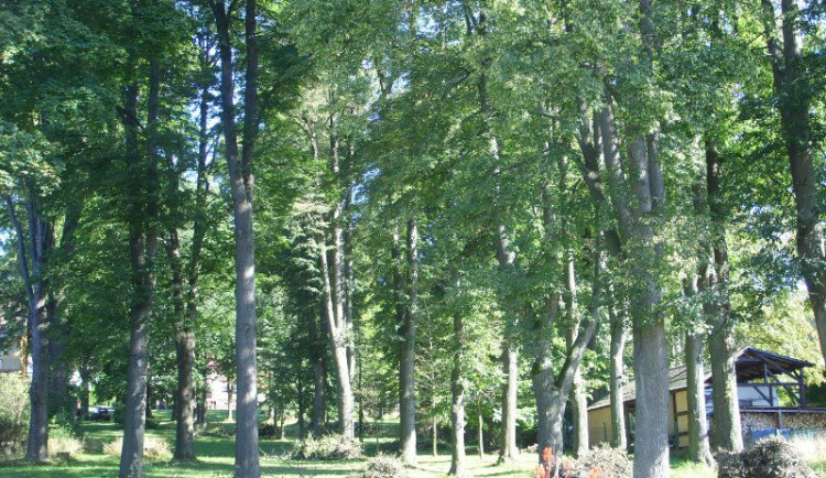 Neznámý vandal poškodil na Frýdlantsku pětadvacet vzrostlých stromů