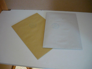 Na severu Čech se volí do krajského zastupitelstva i do senátu