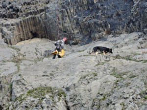 Hasiči zachraňovali psa ze skalního masivu. Bez poranění se vrátil k majiteli