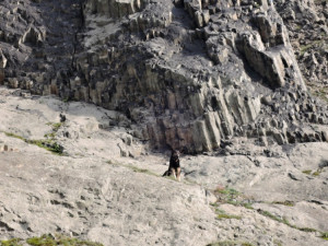 Hasiči zachraňovali psa ze skalního masivu. Bez poranění se vrátil k majiteli