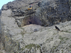 Hasiči zachraňovali psa ze skalního masivu. Bez poranění se vrátil k majiteli
