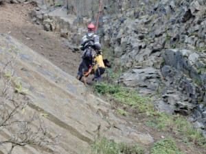 Hasiči zachraňovali psa ze skalního masivu. Bez poranění se vrátil k majiteli