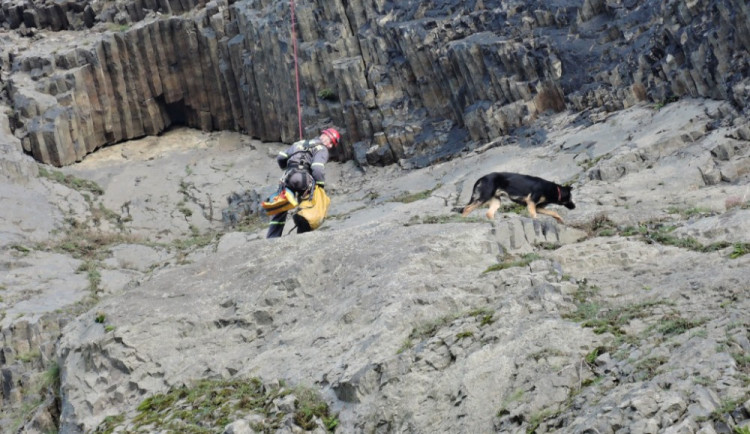 Hasiči zachraňovali psa ze skalního masivu. Bez poranění se vrátil k majiteli