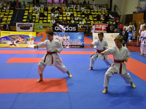 Kata tým žáků ve složení David Vedral, Ondřej Filip a Filip Flajšinger - obsadil třetí místo