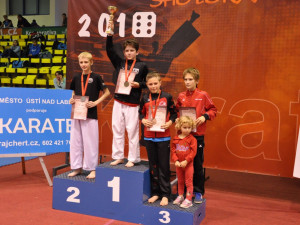 Zlato v kumite vybojoval Marek Boura