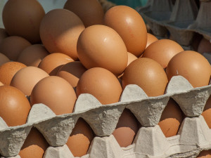 Koukněte do ledniček. Inspekce nařídila stáhnout miliony polských vajec
