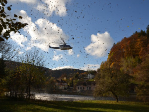 Cvičení na Liberecku