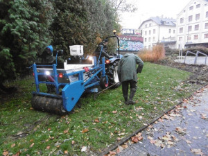 Podzimní výsadba v centru Liberce je u konce. Pomohli vězni i studenti