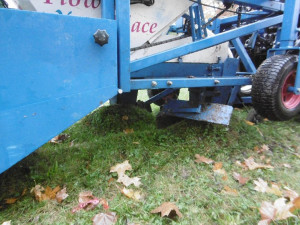 Podzimní výsadba v centru Liberce je u konce. Pomohli vězni i studenti