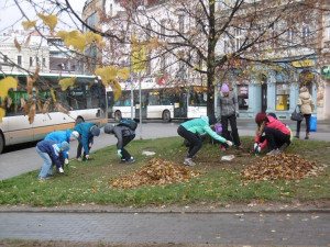 Podzimní výsadba v centru Liberce je u konce. Pomohli vězni i studenti