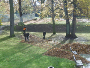 Podzimní výsadba v centru Liberce je u konce. Pomohli vězni i studenti