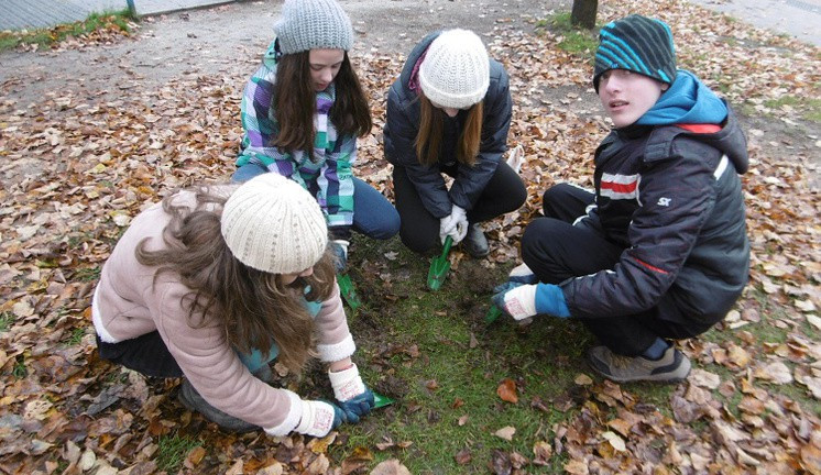 Podzimní výsadba v centru Liberce je u konce. Pomohli vězni i studenti