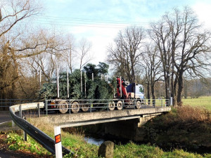 Vánoční strom mají už také ve Frýdlantu