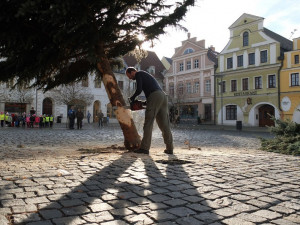 Vánoční strom mají už také ve Frýdlantu