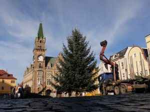 Vánoční strom mají už také ve Frýdlantu