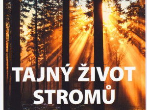 Tajný život stromů