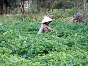 Snímky Jakuba Vaniše z Vietnamu