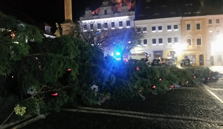 Silný vítr vyvrátil vánoční strom na náměstí v České Lípě