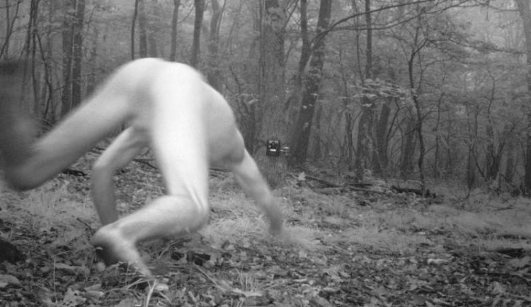 Údajný snímek z fotopasti