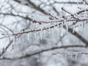 Na Jizerce v Jizerských horách bylo v noci skoro minus 20