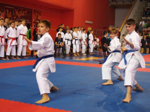 Mistrovství ČR v karate:  Gryf veze 10 medailí, Matěj Říha je mistrem republiky