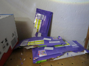 Inspekce uzavřela večerku v Bulovce. Obchod se podobal spíše myšímu doupěti