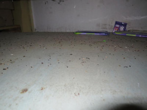 Inspekce uzavřela večerku v Bulovce. Obchod se podobal spíše myšímu doupěti