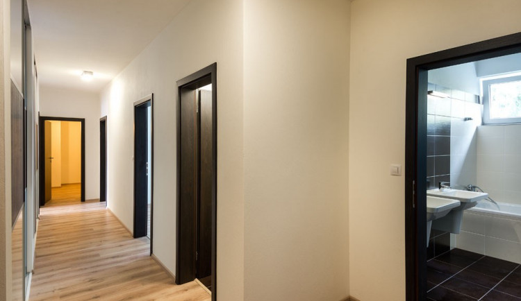 Zákaz návštěv, kouření či chovu mazlíčků ve smlouvě o nájmu bytu být nesmí