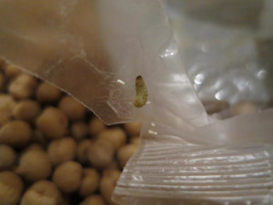 Další samoobsluha z Frýdlantska neprošla drobnohledem inspekce