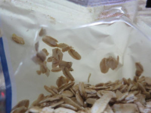 Další samoobsluha z Frýdlantska neprošla drobnohledem inspekce