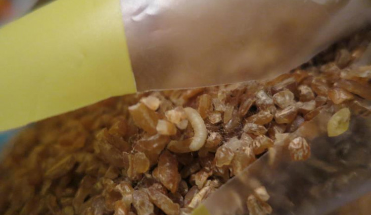 Další samoobsluha z Frýdlantska neprošla drobnohledem inspekce