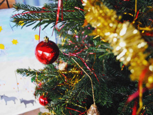 Stromek mají i v liberecké školce Stromovka