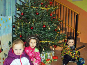 Stromek mají i v liberecké školce Stromovka