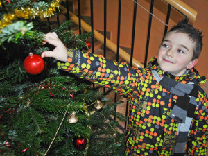 Stromek mají i v liberecké školce Stromovka