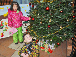 Stromek mají i v liberecké školce Stromovka