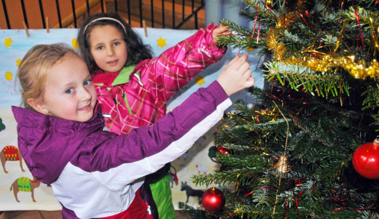 Stromek mají i v liberecké školce Stromovka